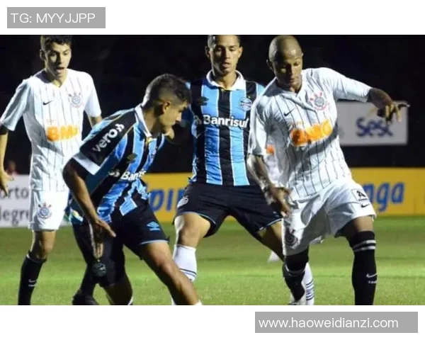 重庆羽毛球队在大满贯赛事中的速度表现分析与点评