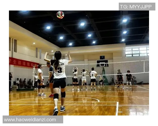 成都排球队心理素质创新高引发关注排球界新标杆的崛起与挑战