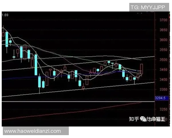 南京篮球队与武汉篮球队赛后状态分析与复盘总结