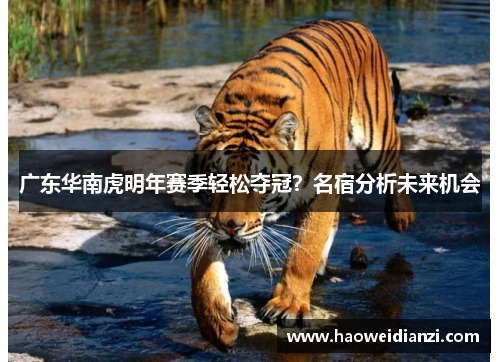 广东华南虎明年赛季轻松夺冠？名宿分析未来机会