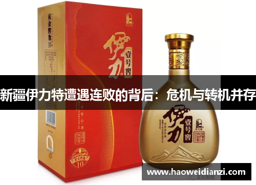 新疆伊力特遭遇连败的背后：危机与转机并存