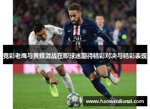 竞彩老鹰与黄蜂激战在即球迷期待精彩对决与精彩表现