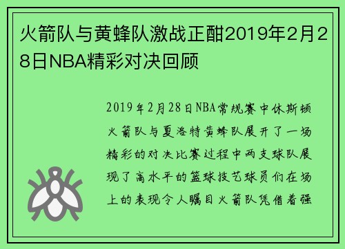 火箭队与黄蜂队激战正酣2019年2月28日NBA精彩对决回顾